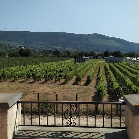 Agriturismo Il Casale Del Cavaliere Сант'Аґата-де'-Ґоті Екстер'єр фото
