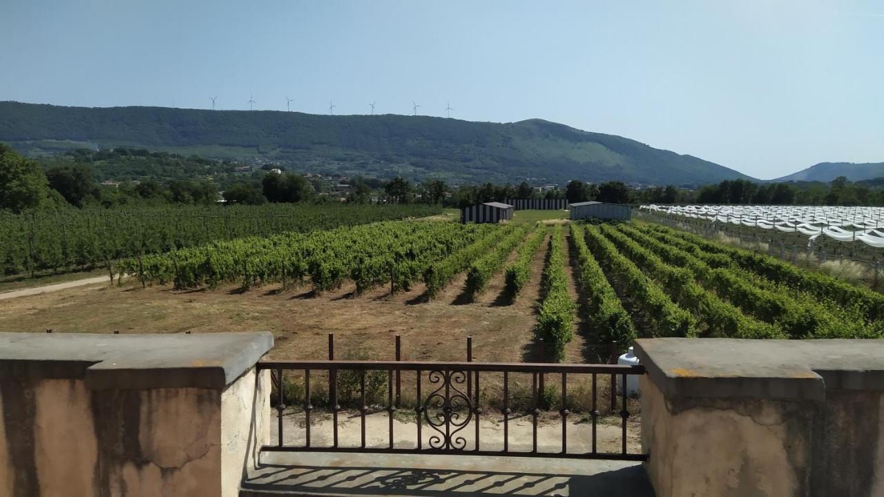 Agriturismo Il Casale Del Cavaliere Сант'Аґата-де'-Ґоті Екстер'єр фото
