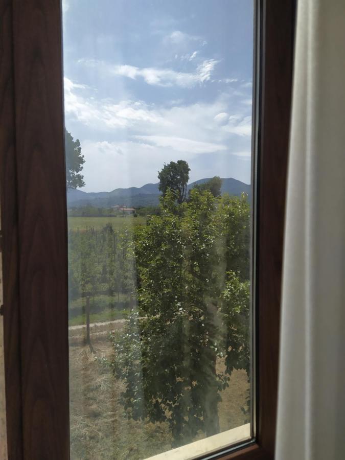 Agriturismo Il Casale Del Cavaliere Сант'Аґата-де'-Ґоті Екстер'єр фото